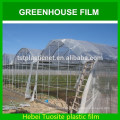 Einlagige und solare landwirtschaftliche Gewächshäuser Typ klare Plastikfolie für Gewächshaus